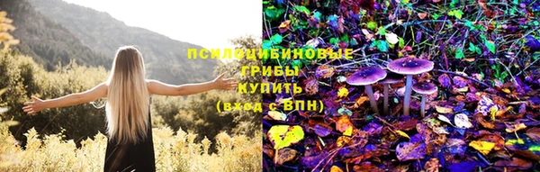 метадон Беломорск
