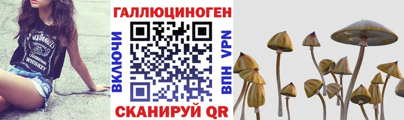 Галлюциногенные грибы Cubensis наркошоп mega ONION Верещагино
